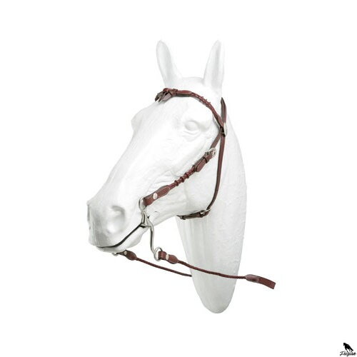 HH WACO TEXAN BRIDLE
