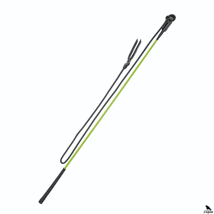 CARROT STICK 120