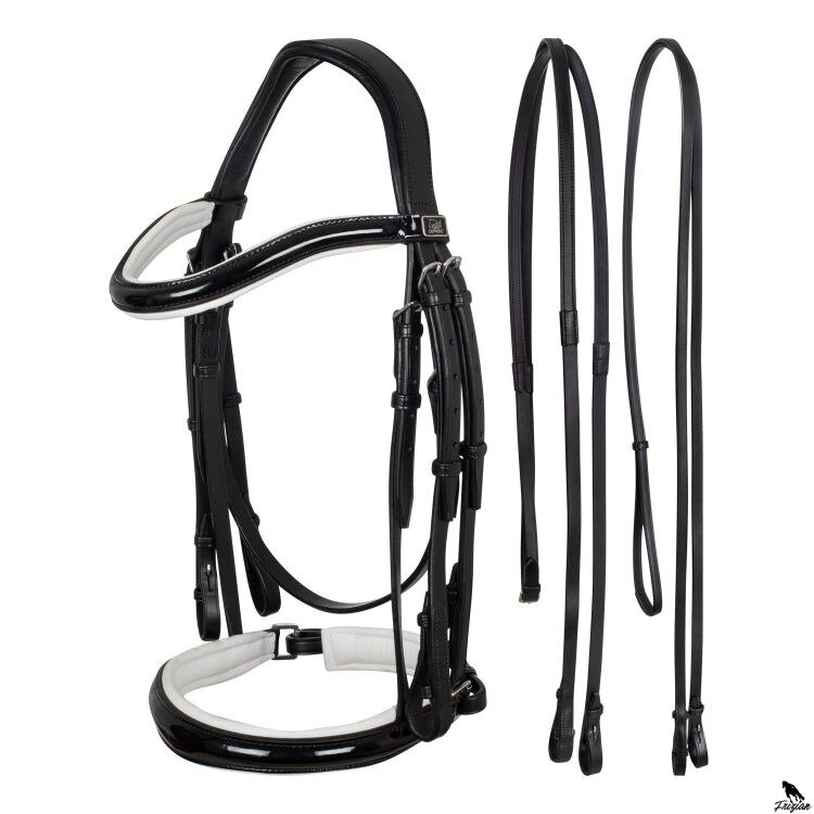 UZDA DRESSAGE 
