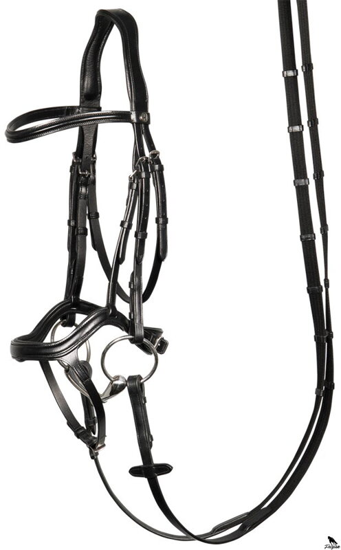 Uzda Anatomic černa