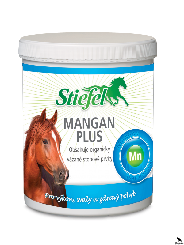 Mangan plus pro zdraví a regeneraci pohybového aparátu 1 kg Mangan plus pro zdraví a regeneraci pohybového aparátu 1 kg