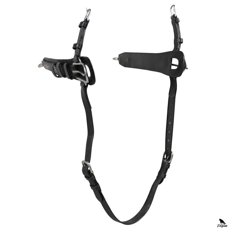 Pair of Hooks pro párový postroj