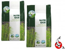 COLOMBO FLORA NUTRI BASE 5 LTR COLOMBO FLORA NUTRI BASE 5 LTR